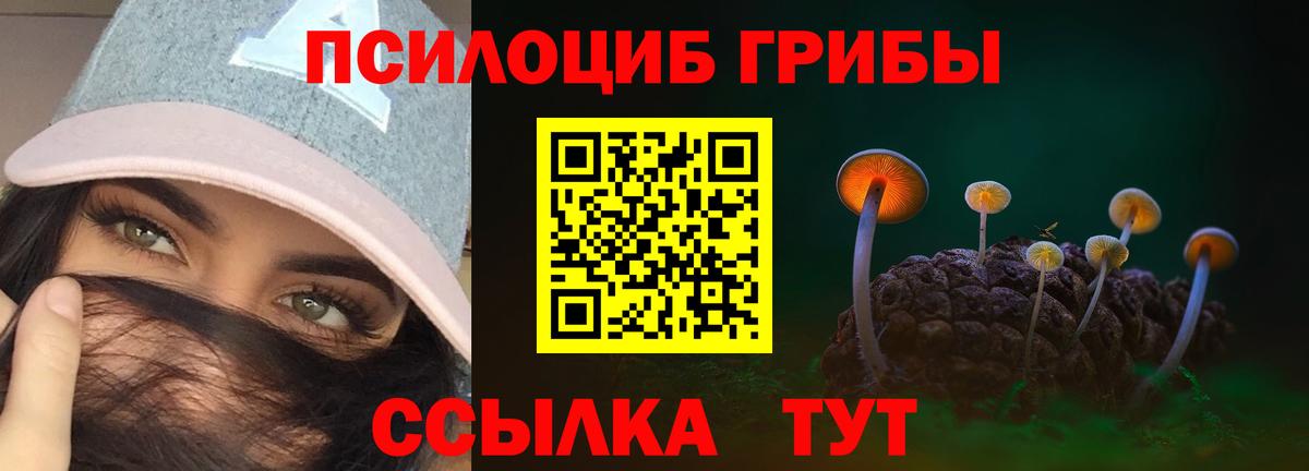 Бошки Шишки Краснокаменск